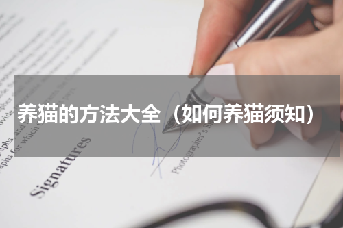 养猫的方法大全（如何养猫须知）