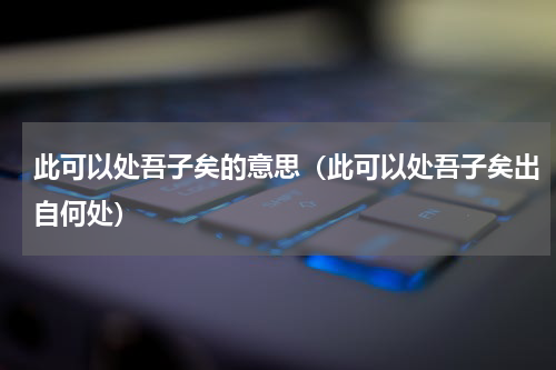 此可以处吾子矣的意思（此可以处吾子矣出自何处）