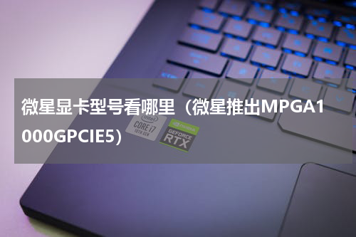 微星显卡型号看哪里（微星推出MPGA1000GPCIE5）