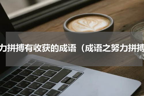 努力拼搏有收获的成语（成语之努力拼搏）