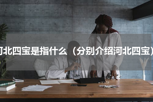 河北四宝是指什么（分别介绍河北四宝）