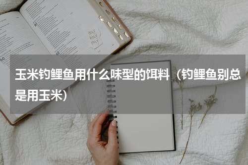 玉米钓鲤鱼用什么味型的饵料（钓鲤鱼别总是用玉米）
