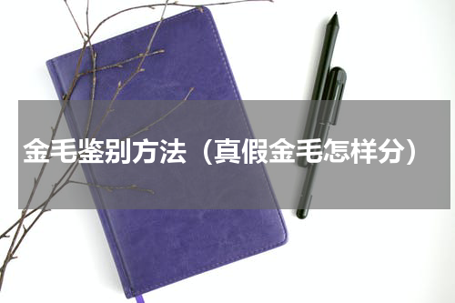 金毛鉴别方法（真假金毛怎样分）