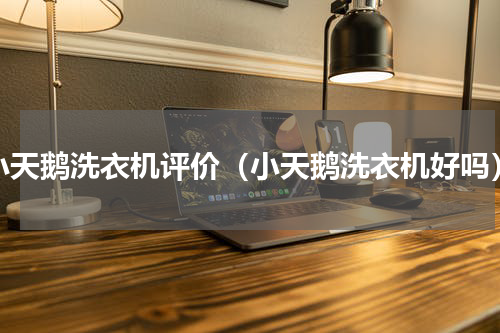 小天鹅洗衣机评价（小天鹅洗衣机好吗）