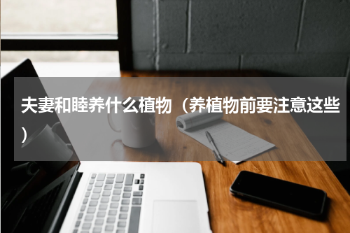 夫妻和睦养什么植物（养植物前要注意这些）