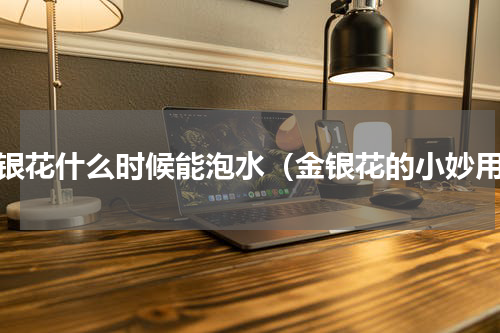 金银花什么时候能泡水（金银花的小妙用）