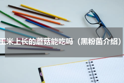 玉米上长的蘑菇能吃吗（黑粉菌介绍）
