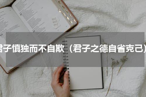 君子慎独而不自欺（君子之德自省克己）