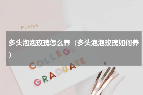 多头泡泡玫瑰怎么养（多头泡泡玫瑰如何养）