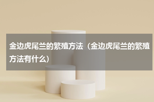 金边虎尾兰的繁殖方法（金边虎尾兰的繁殖方法有什么）