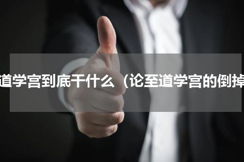 至道学宫到底干什么（论至道学宫的倒掉）