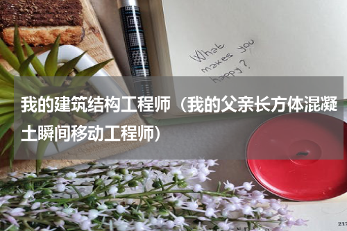 我的建筑结构工程师（我的父亲长方体混凝土瞬间移动工程师）