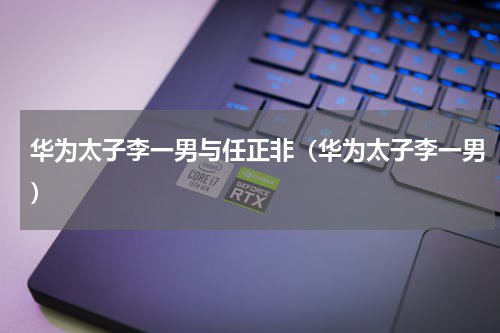 华为太子李一男与任正非（华为太子李一男）