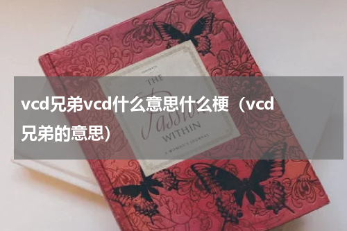 vcd兄弟vcd什么意思什么梗（vcd兄弟的意思）