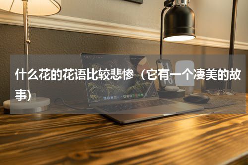 什么花的花语比较悲惨（它有一个凄美的故事）