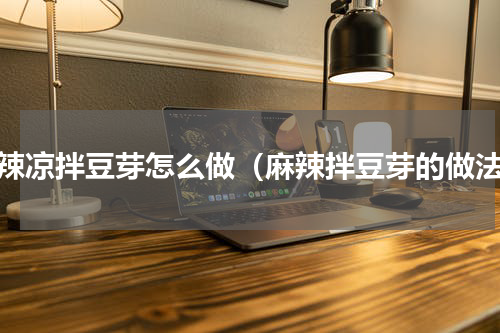麻辣凉拌豆芽怎么做（麻辣拌豆芽的做法）