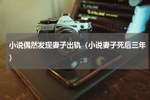小说偶然发现妻子出轨（小说妻子死后三年）