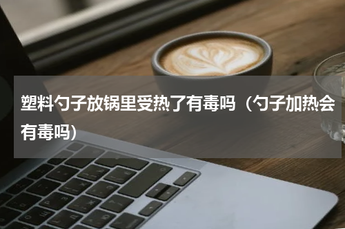 塑料勺子放锅里受热了有毒吗（勺子加热会有毒吗）