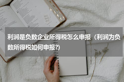 利润是负数企业所得税怎么申报（利润为负数所得税如何申报?）