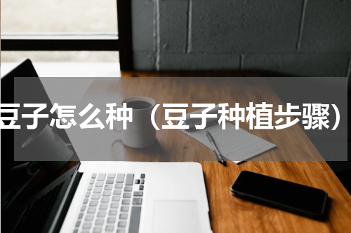 豆子怎么种（豆子种植步骤）