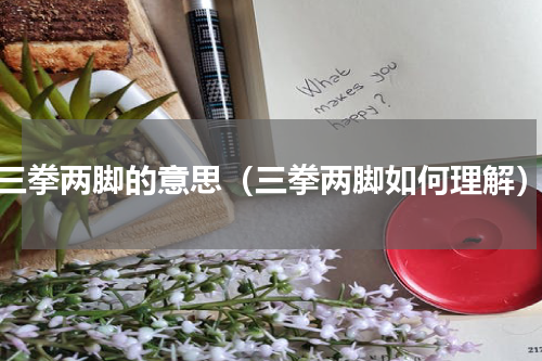 三拳两脚的意思（三拳两脚如何理解）