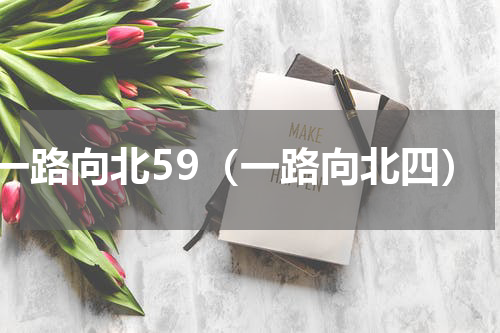 一路向北59（一路向北四）