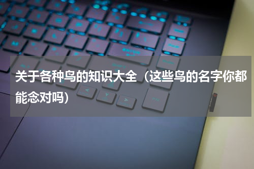 关于各种鸟的知识大全（这些鸟的名字你都能念对吗）