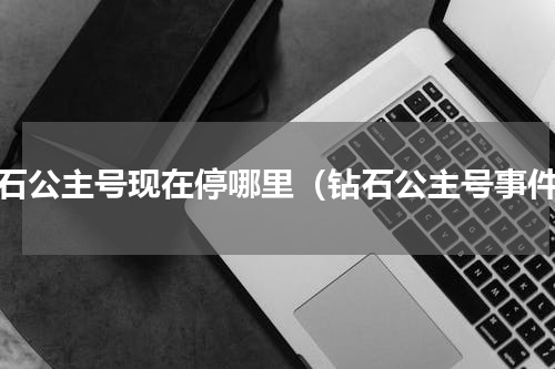 钻石公主号现在停哪里（钻石公主号事件）