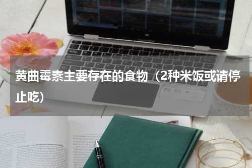 黄曲霉素主要存在的食物（2种米饭或请停止吃）