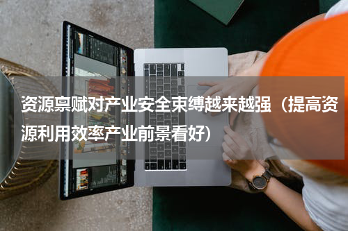 资源禀赋对产业安全束缚越来越强（提高资源利用效率产业前景看好）