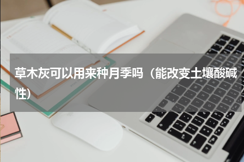 草木灰可以用来种月季吗（能改变土壤酸碱性）