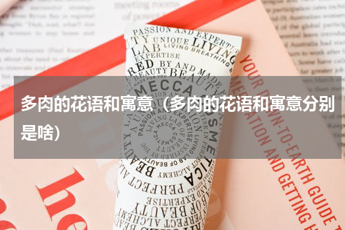 多肉的花语和寓意（多肉的花语和寓意分别是啥）