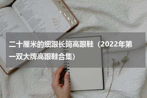 二十厘米的细跟长筒高跟鞋（2022年第一双大牌高跟鞋合集）