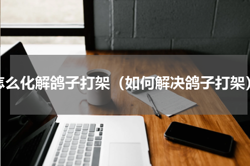 怎么化解鸽子打架（如何解决鸽子打架）