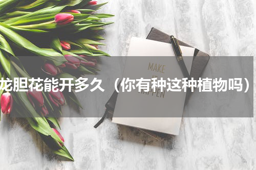 龙胆花能开多久（你有种这种植物吗）