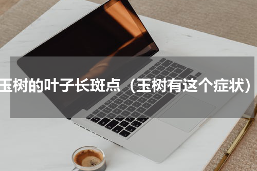 玉树的叶子长斑点（玉树有这个症状）