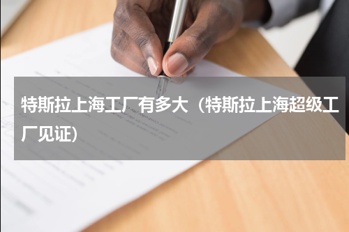 特斯拉上海工厂有多大（特斯拉上海超级工厂见证）