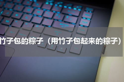 竹子包的粽子（用竹子包起来的粽子）