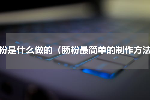 肠粉是什么做的（肠粉最简单的制作方法）