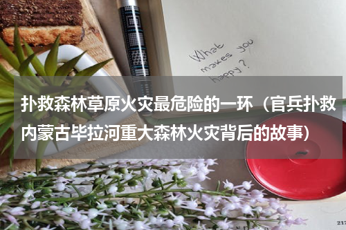 扑救森林草原火灾最危险的一环（官兵扑救内蒙古毕拉河重大森林火灾背后的故事）