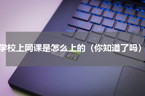 学校上网课是怎么上的（你知道了吗）