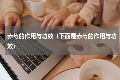 赤芍的作用与功效（下面是赤芍的作用与功效）