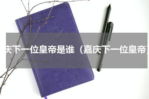 嘉庆下一位皇帝是谁（嘉庆下一位皇帝）