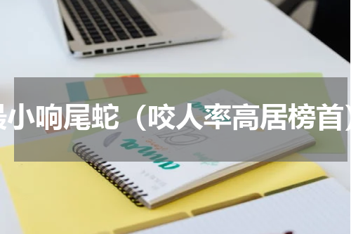 最小响尾蛇（咬人率高居榜首）