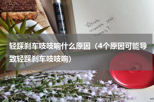 轻踩刹车吱吱响什么原因（4个原因可能导致轻踩刹车吱吱响）