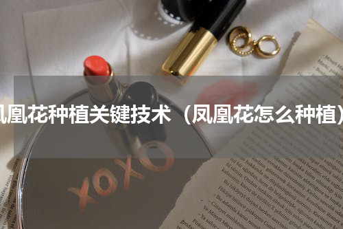 凤凰花种植关键技术（凤凰花怎么种植）