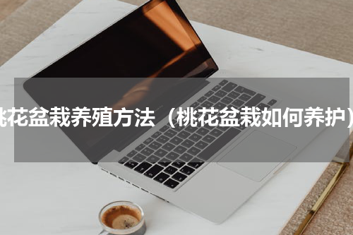 桃花盆栽养殖方法（桃花盆栽如何养护）