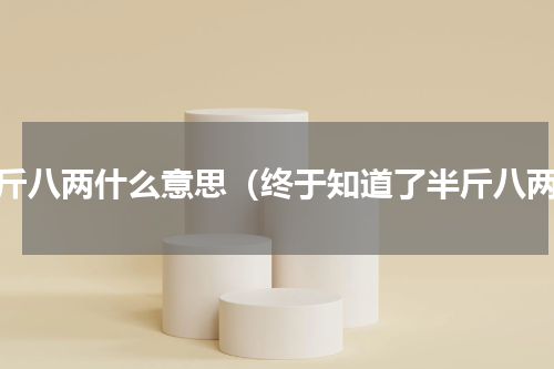 半斤八两什么意思（终于知道了半斤八两）