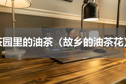 茶园里的油茶（故乡的油茶花）