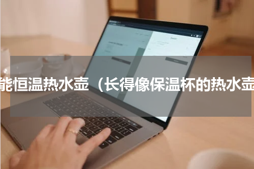 智能恒温热水壶（长得像保温杯的热水壶）